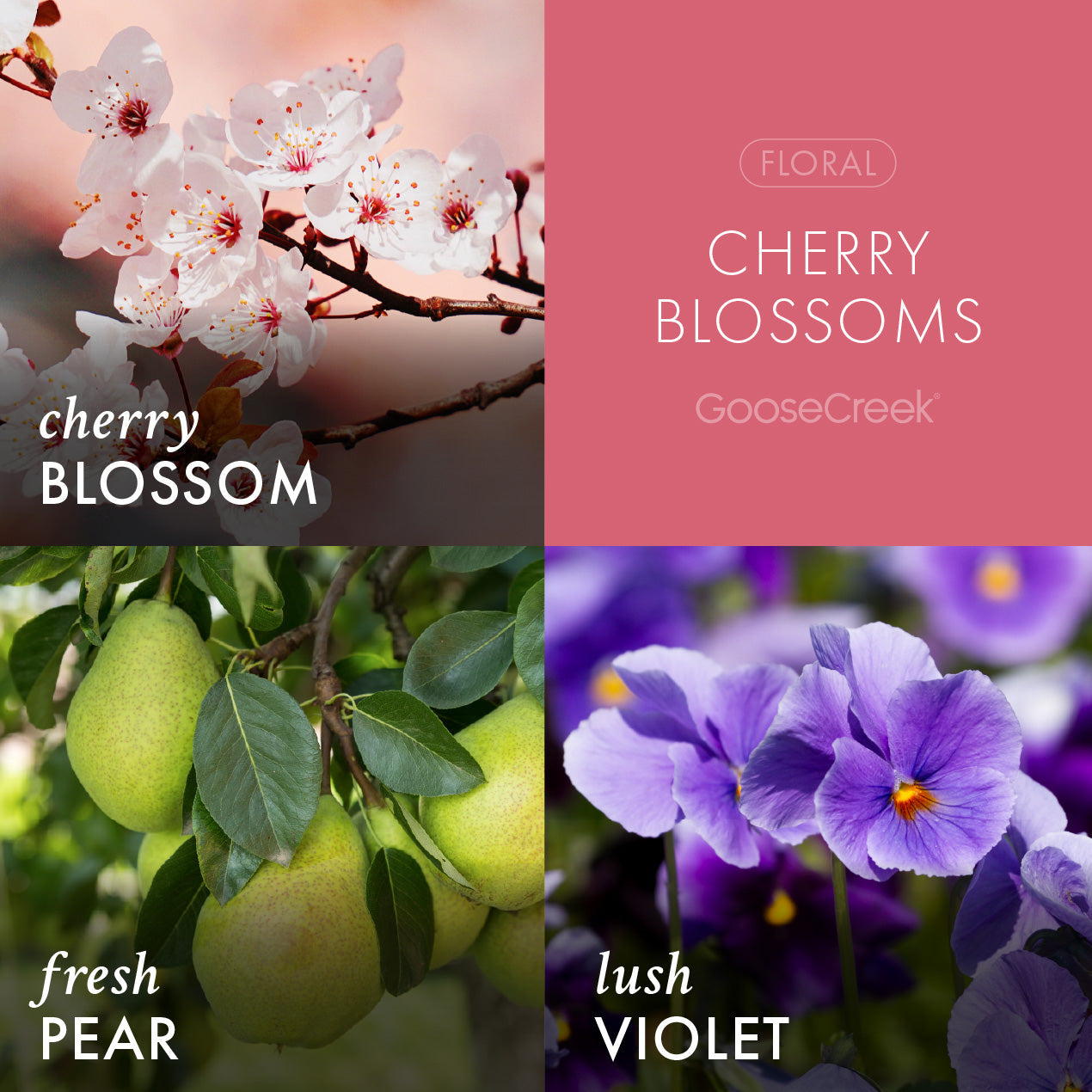 Cherry Blossom Wax Melt