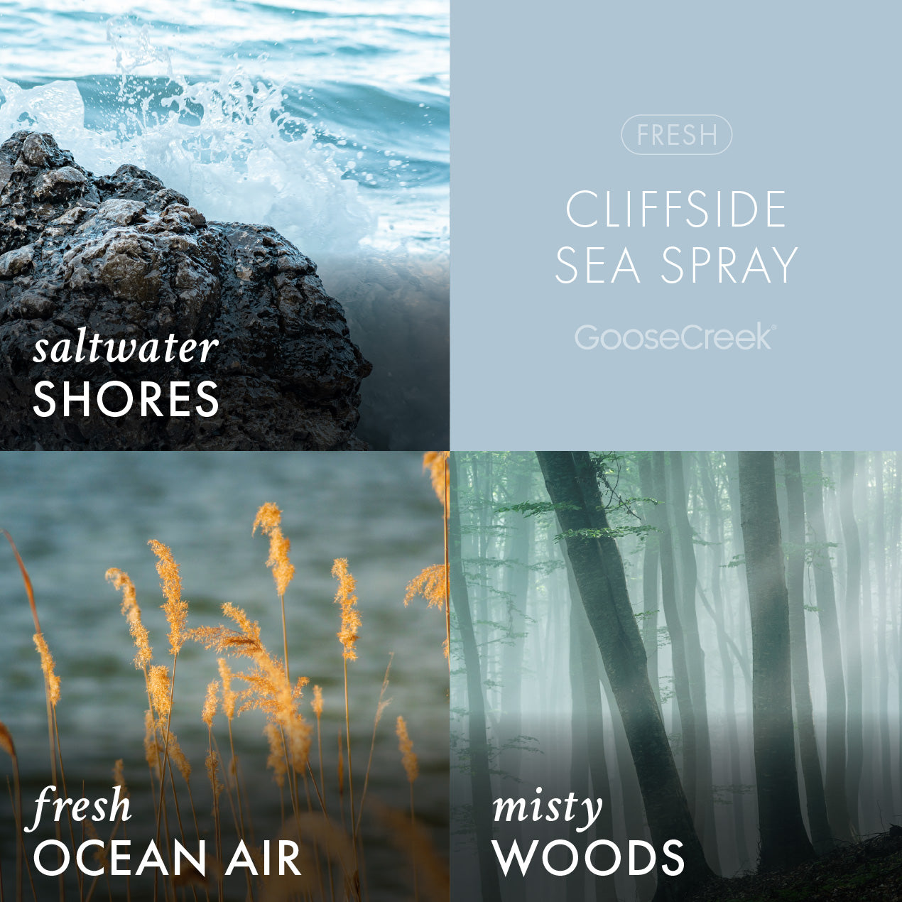 Cliffside Sea Spray 3-Wick Candle