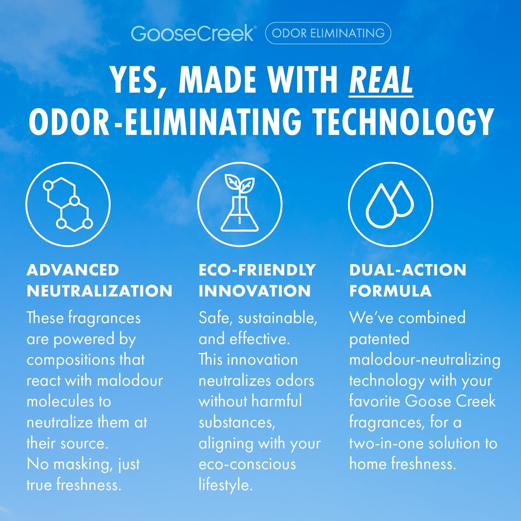 Cliffside Sea Spray Odor Eliminating Wax Melt