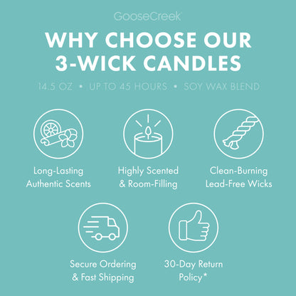 Hinoki Forest 3-Wick Candle