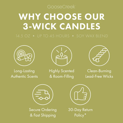 Pistachio Ice Cream 3-Wick Candle