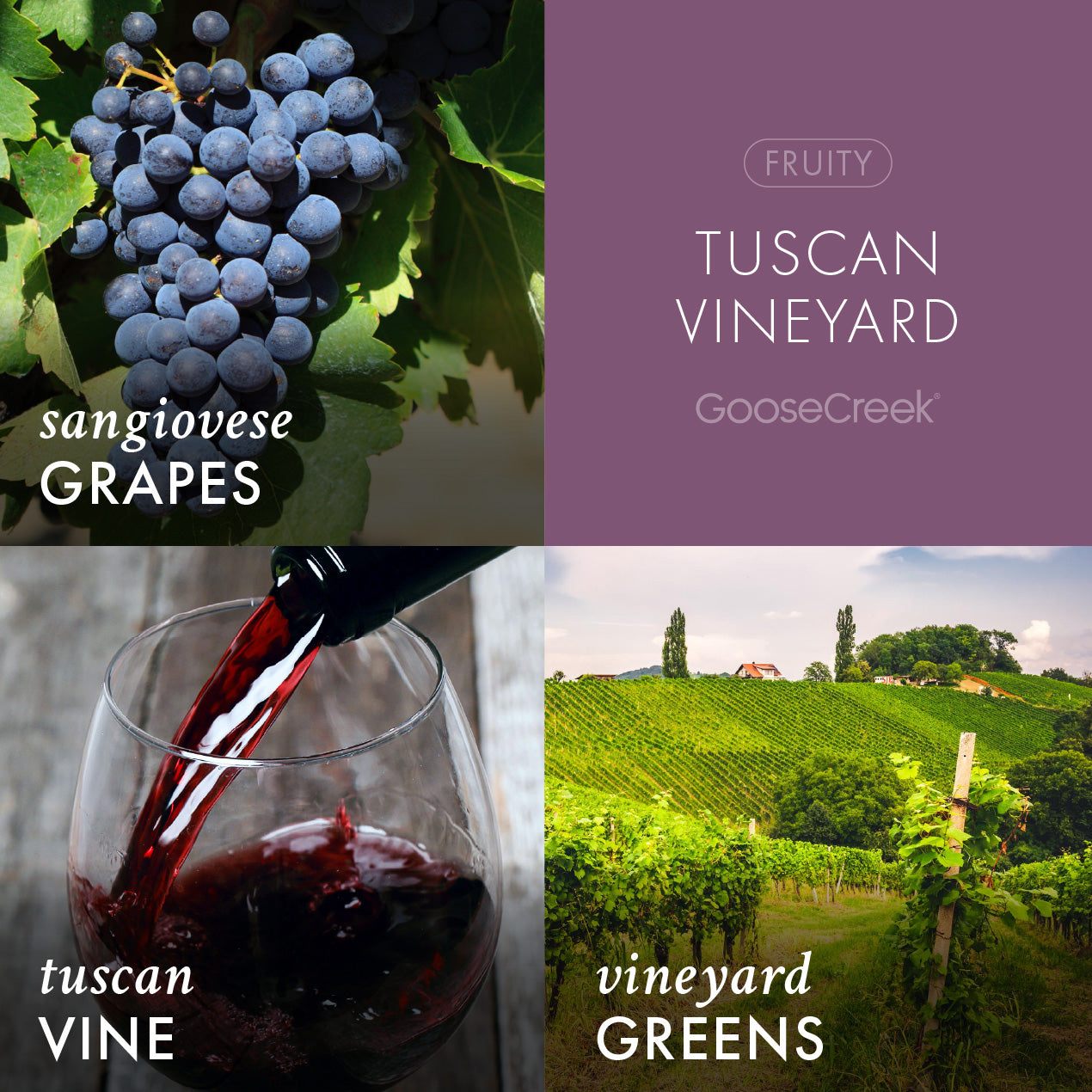 Tuscan Vineyard Wax Melt