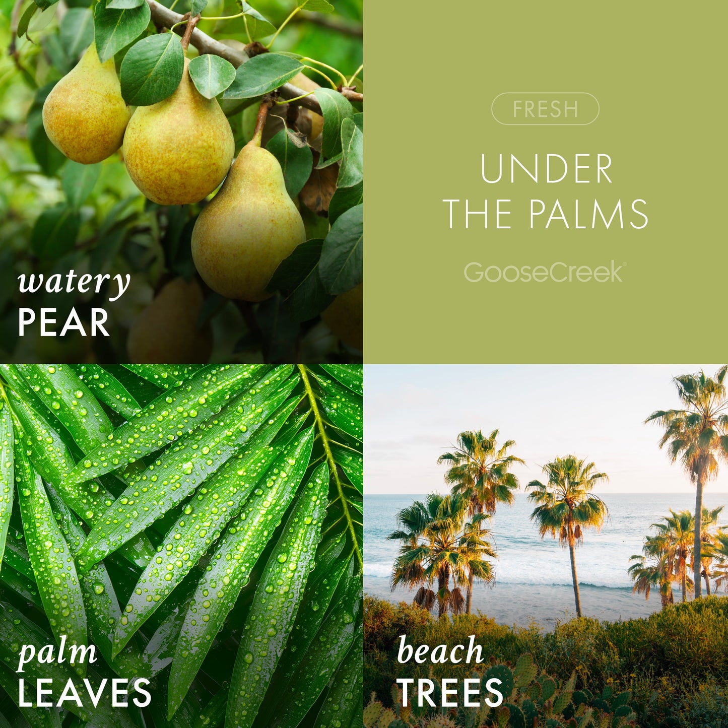 Under the Palms 3-Wick Candle